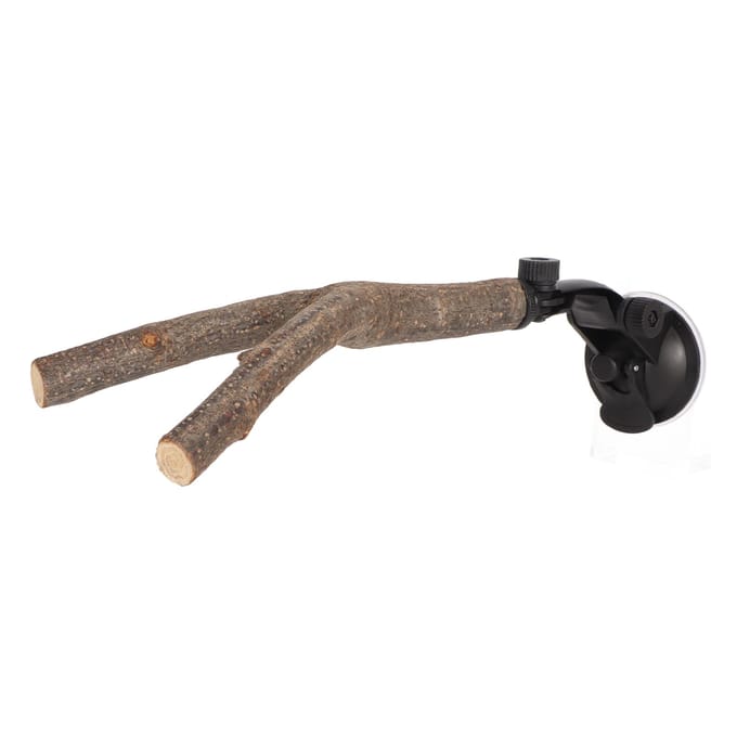 Vogel Tak Stok Standaard Training Interactief Voorkom Uitglijden Houten Papegaaienstok met Zuignappen voor 20cm / 7.9in gray