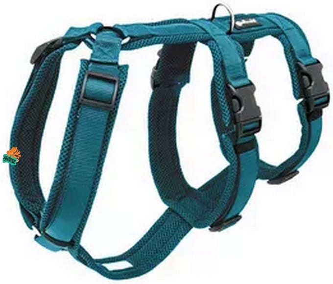 Petlando Safety Harness L Petrol