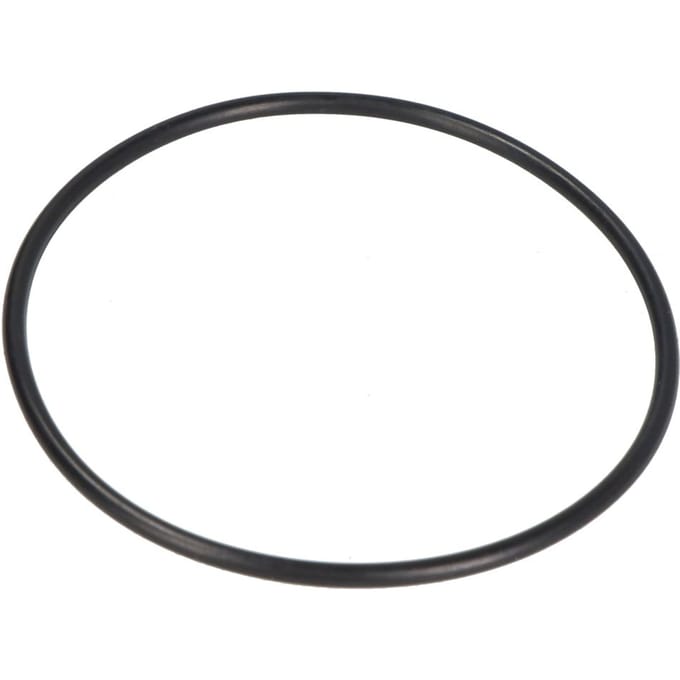 Basis O-ring PARSUN F25-04070003