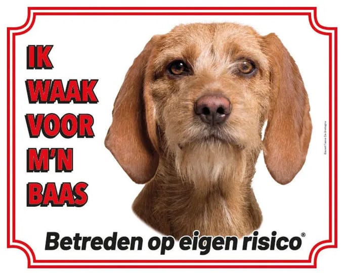 Basset Fauve de Bretange Waakbord