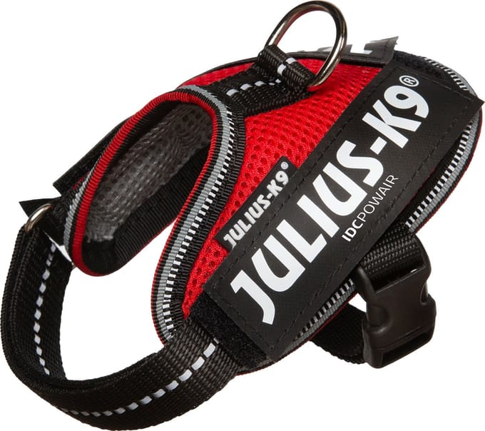 Julius-K9 IDC Powair-tuig - 3XS - Baby1 - Rood