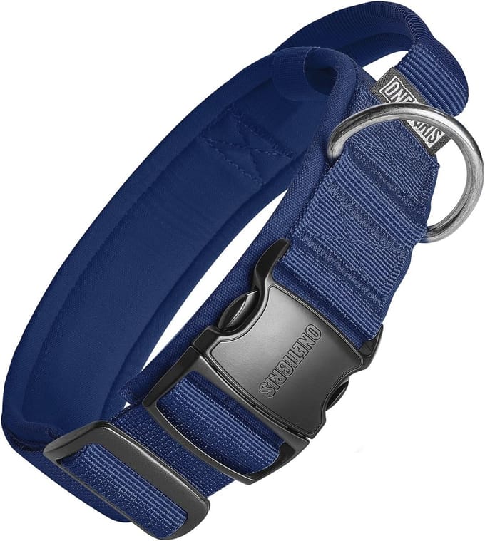 Hondenhalsband met metalen gesp, blauw, maat L