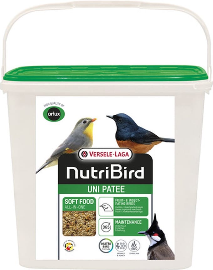 Orlux Uni patee universeelvoer 5 kilo - Supplementen - Vogelvoer - Universeelvoer - Patee