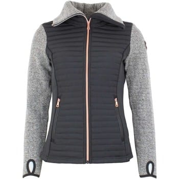 Technische jassen Peak Mountain Blouson polaire femme ANTEMBI