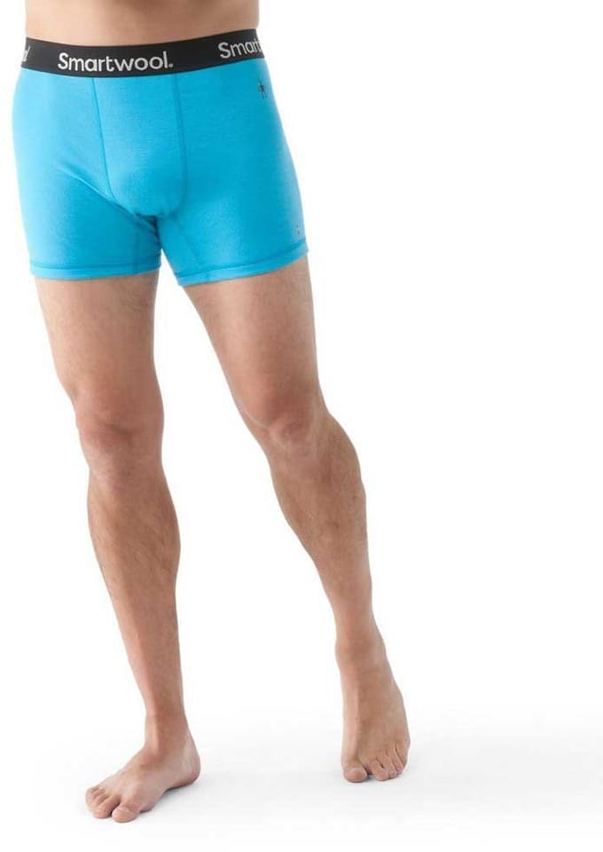Merinowollen boxershort Smartwool Active