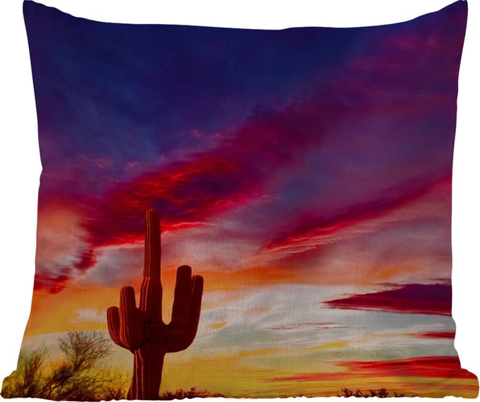 Tuinkussen - Cactus - Lucht - Zonsondergang - Paars - Roze - 40x40 cm - Weerbestendig