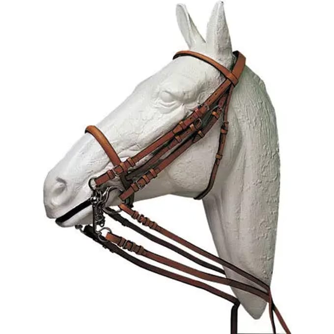 Halsband voor Engelse paard Hispano Hipica