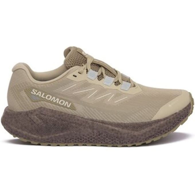 Sportieve Salomon AERO BLAZE 3 GRVL GTX 38 Dames