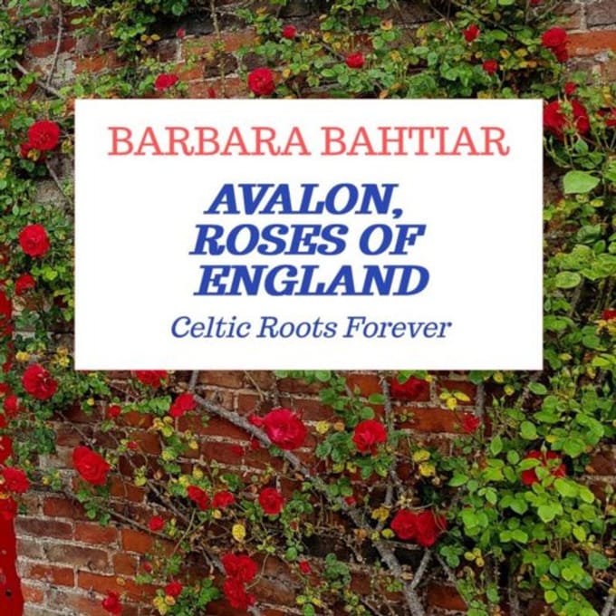 Avalon, Roses Of England - Barbara Bahtiar