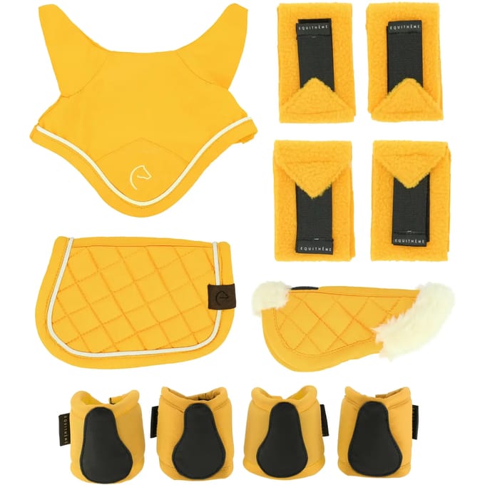 Mini accessoires set voor Hobby Horse Equithème (x5)