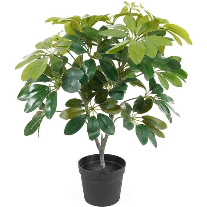 Present Time Kunstplant Shefflera - Groen - 40x40x48cm - Modern