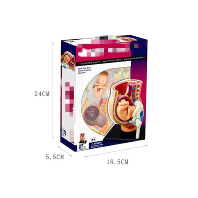 4D Master Puzzel Menselijk Lichaam Orgaan Anatomisch Model Bouwspeelgoed Medisch Lesmodel Biologische Educatieve Speelgoed