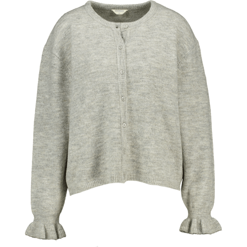Zeeman Vest - Grijs Grijs M