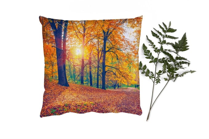 Sierkussens - Kussentjes Woonkamer - 60x60 cm - Bomen - Herfst - Bos - Herfstbladeren
