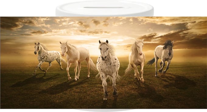 Spaarpot - Paarden Appaloosa
