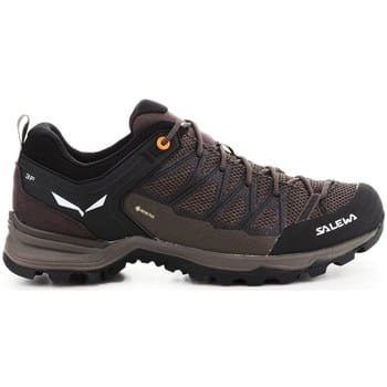 Wandelschoenen Salewa Mtn Trainer Lite Gtx