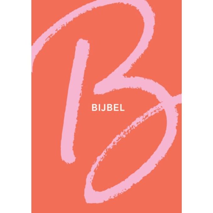 Nbv21 Tienerbijbel