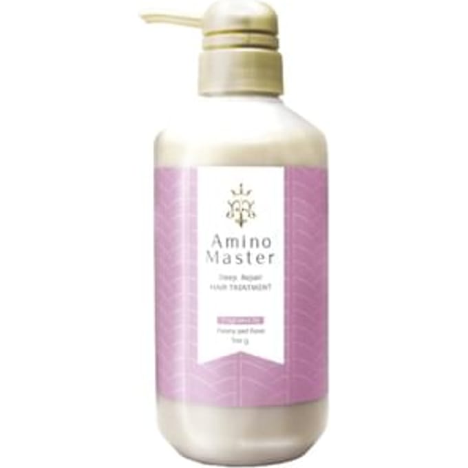 Amino Master - Deep Repair Hair Treatment 500g