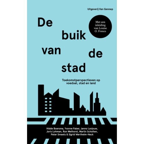 De Buik Van De Stad - Hidde Boersma