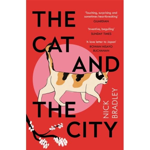 De Kat en De Stad door Nick Bradley Paperback Boek 9781786499912