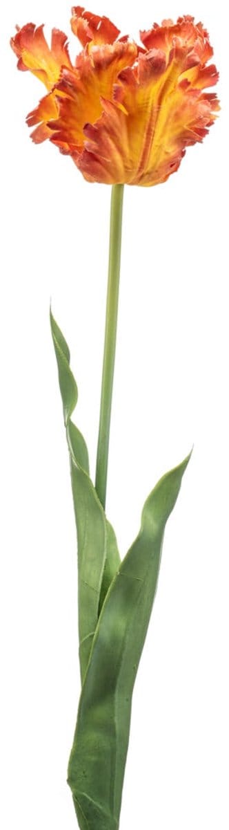 Emerald - Kunstbloem Tulp Parrot 68cm oranje - Kunstplant voor binnen