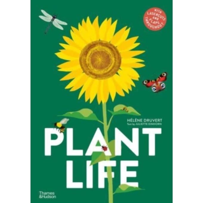 Plant Life - Hélène Druvert