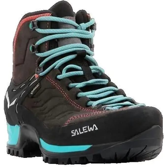 Dameswandelschoenen Salewa Ws Mtn