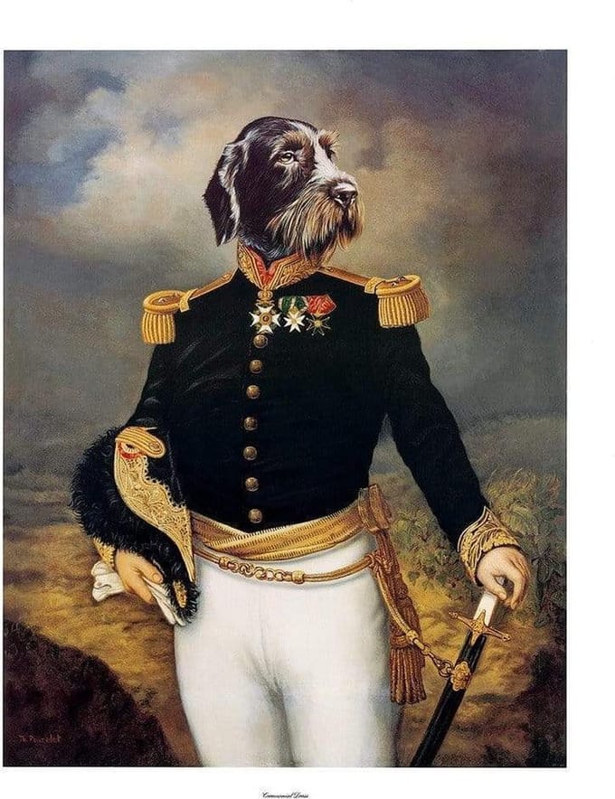 Kunstdruk Thierry Poncelet - Ceremonial Dress 66x86cm