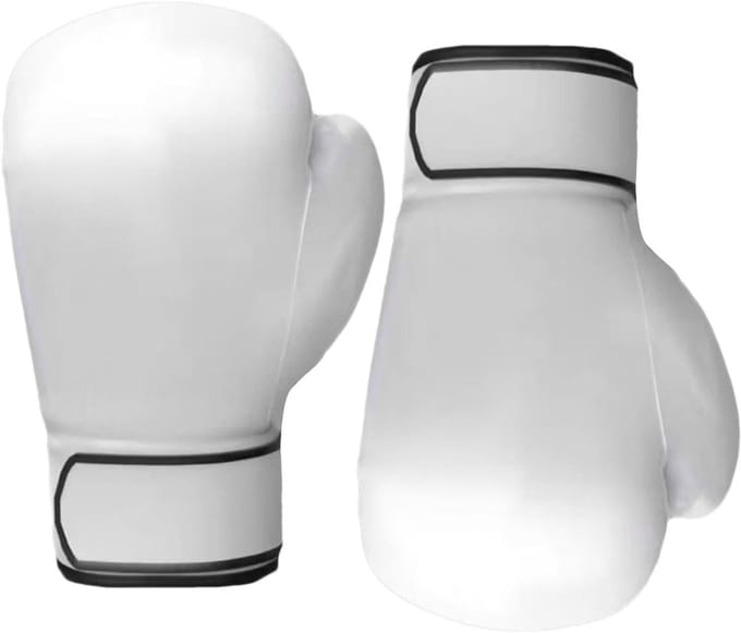 Bokshandschoenen - Trainingshandschoenen - Krachtige Training - Versterkte Stiksels - 10 oz - Wit