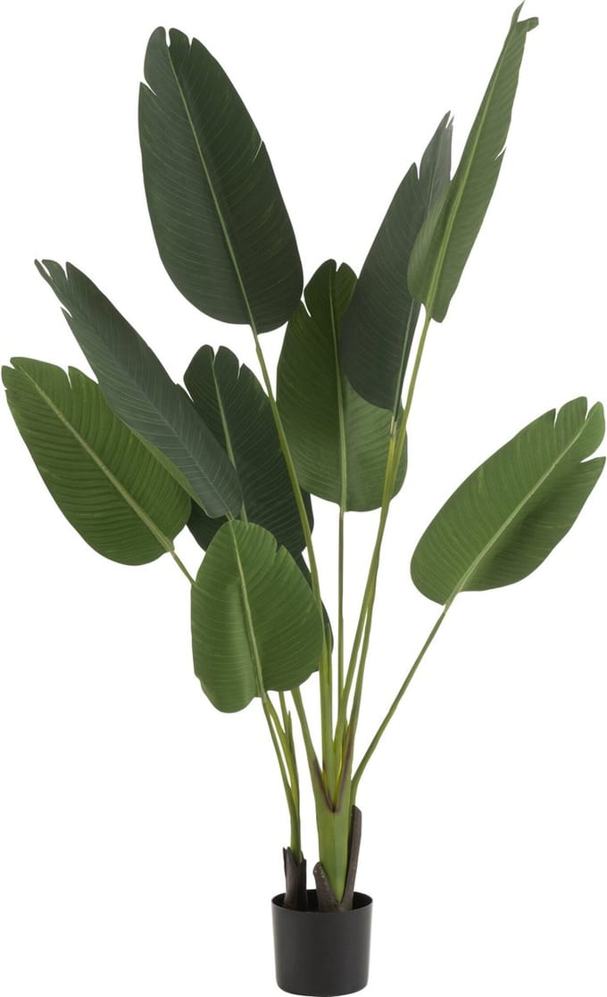 J-Line plant Strelitzia - kunststof - groen - small