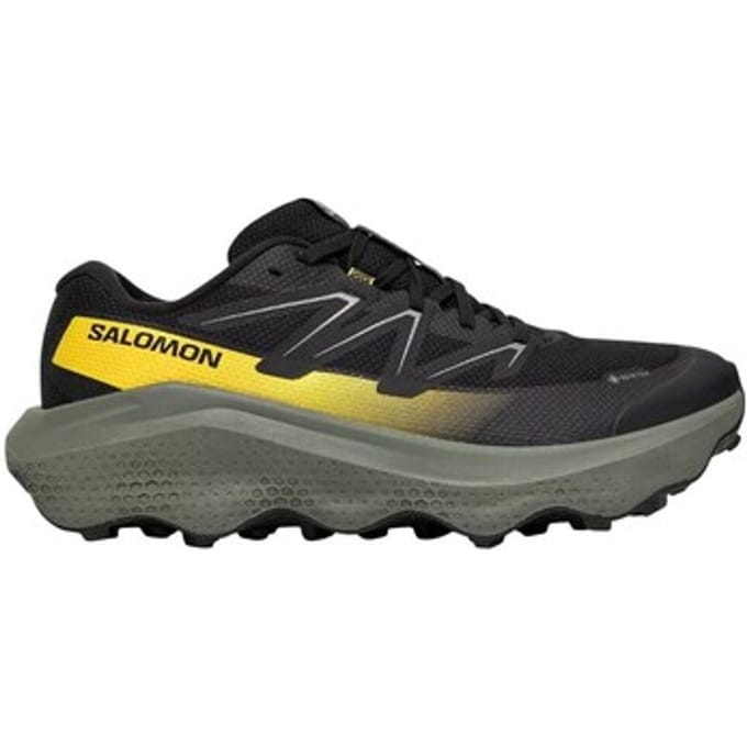 Wandelschoenen Salomon Ultra Flow 2 Gtx