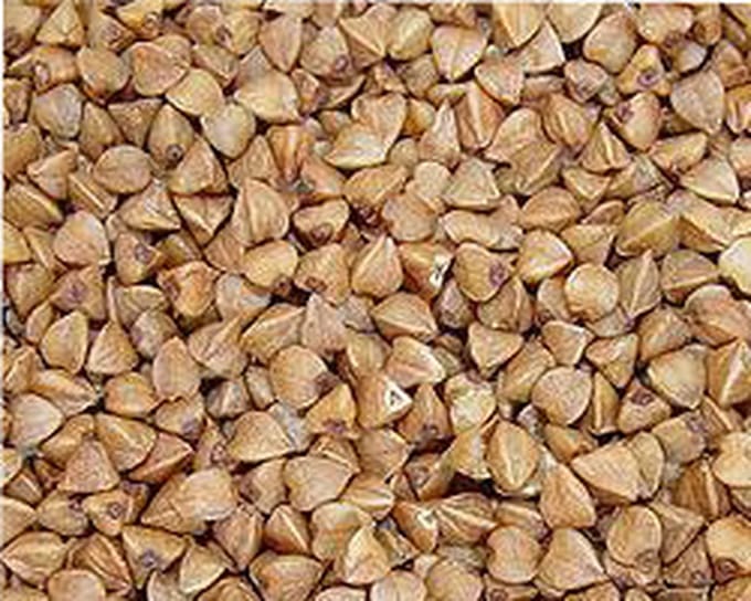 Wielink Boekweit 15 kg