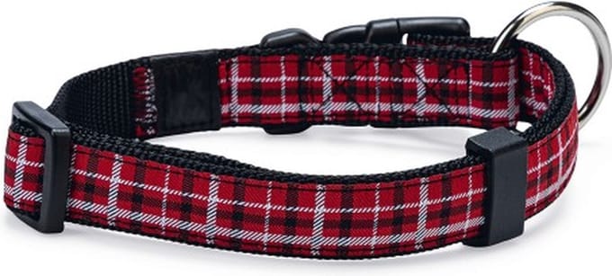 Collar tartan m 45-55 cm 20 mm