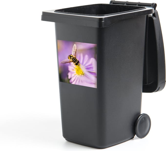 Container sticker Aster - Een bij zit op een aster bloem - 40x40 cm - kliko sticker - weerbestendige containersticker