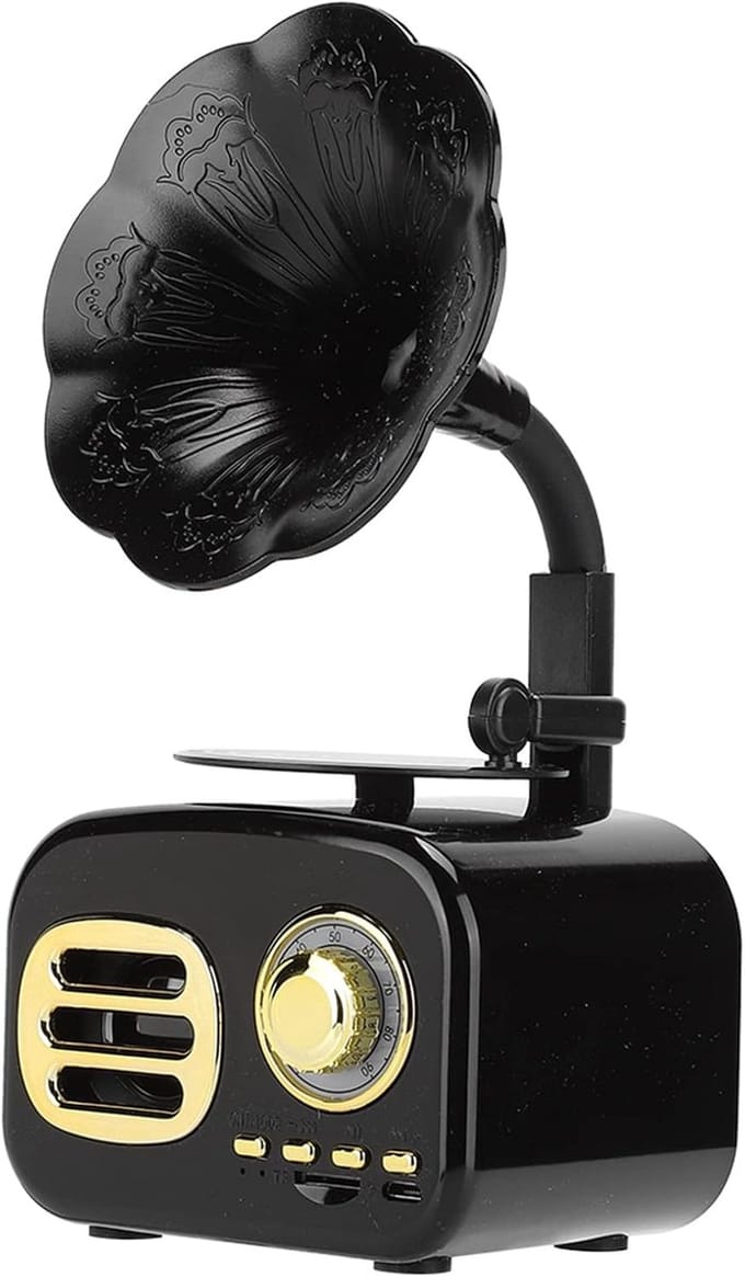 Draagbare Luidspreker - Muziekspeler - Draadloze Audio - Jerry 5.0 Connectiviteit - Compact Formaat - Zwart