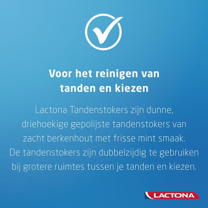 3x Lactona Intersticks Tandenstokers 100 stuks