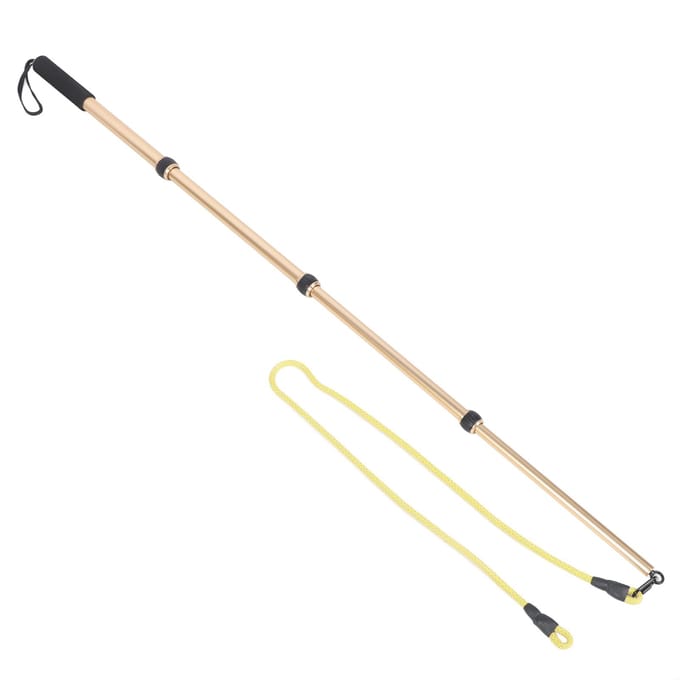Baguette télescopique de 52 pouces pour chien, bâton teaser, jouet interactif pour chien, extensible beige