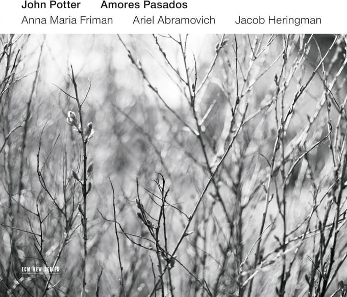 John Potter - Amores Pasados (CD)
