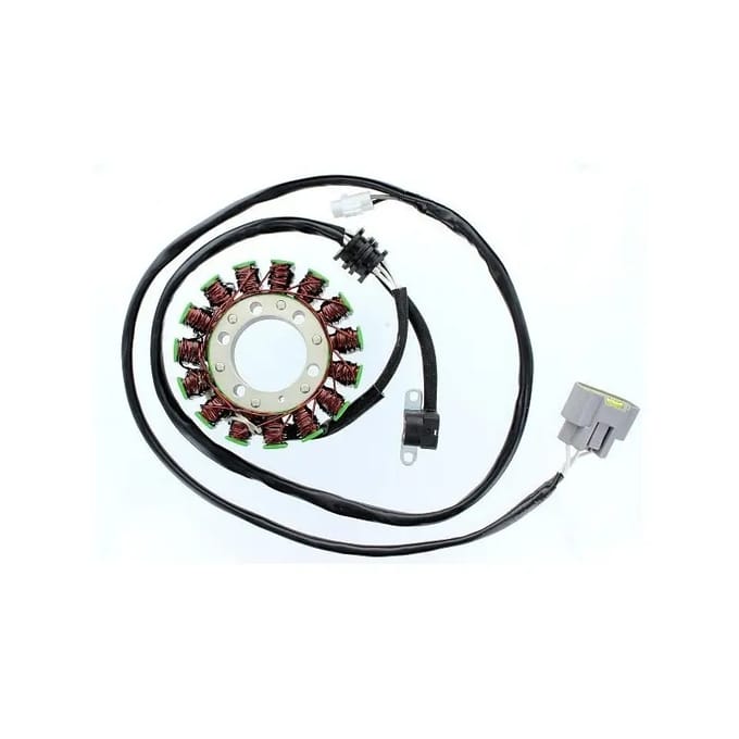 Originele aanpasbare motor dynamo Electrosport Yamaha