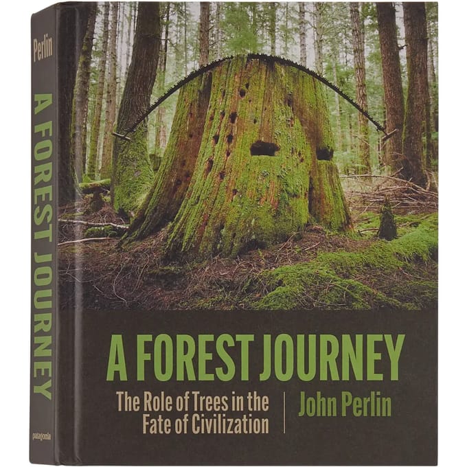 Boek Patagonia A Forest Journey