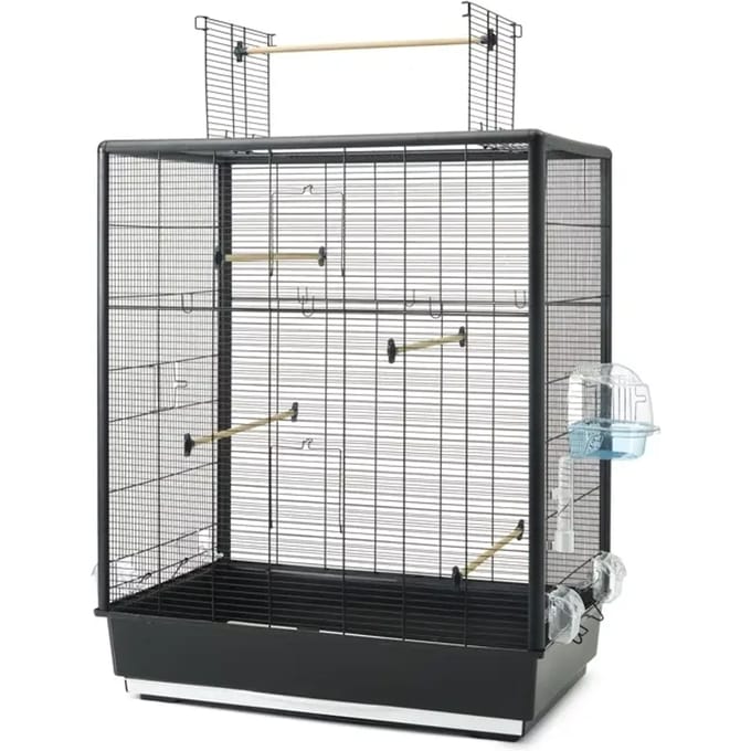 Savic Primo 60 Open Empire 80x50x115cm Vogel