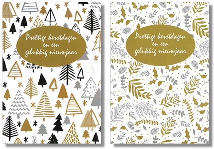 MGPcards - 10 Dubbele wenskaarten - Kerstkaarten / Nieuwjaar - Witte envelop - 10 x 14 cm - 2 Motieven per doosje