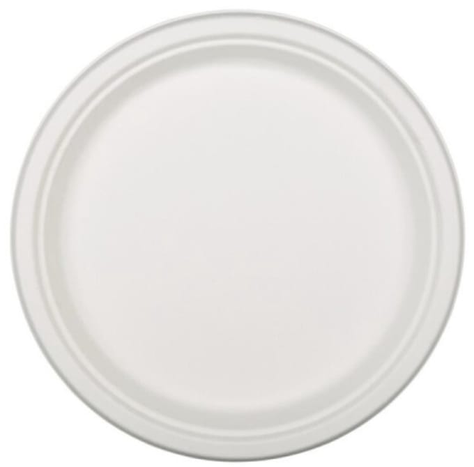 XL Borden – Suikerriet Bagasse – 26 cm – 20 stuks