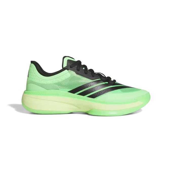 Basketbalschoenen adidas Baskets Adizero Select 3.0 léger