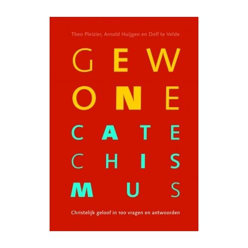 Gewone Catechismus - Theo Pleizier