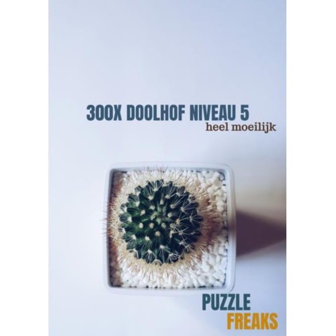 300x Doolhof Niveau 5 - Puzzle Freaks
