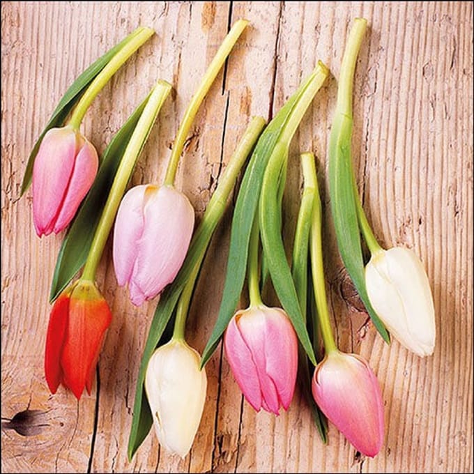 Lunch Servetten Tulips On Wood - Ambiente - 33x33 cm