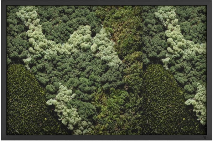 Mos Schilderij 120 x 80 cm Landscape Zwart