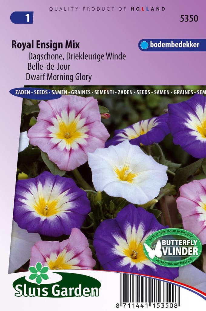 Sluis Garden - Dagschone, Driekleurige Winde Royal Ensign mix