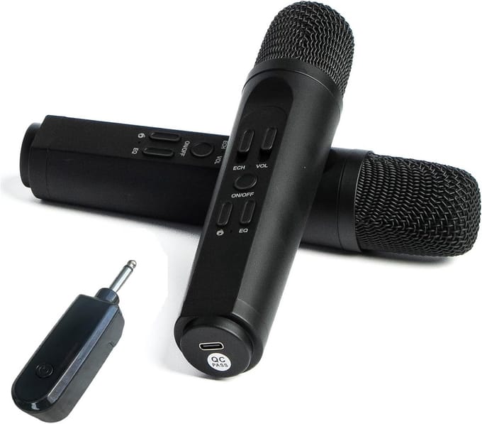 Draadloos Dubbel Microfoon Systeem voor Karaoke - 2 Handmicrofoons met USB Ontvanger